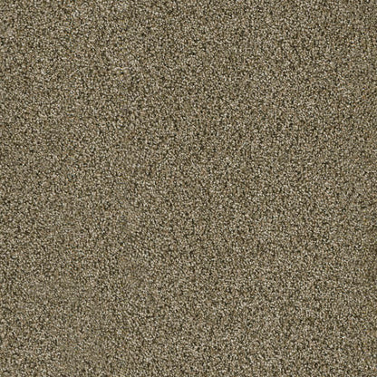 1-1324-307-1200-a-variant-room-scene
