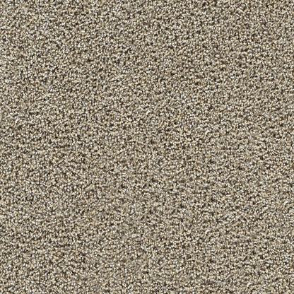 1-1335-4526-1200-a-variant-room-scene