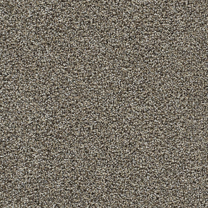 1-1335-834-1200-a-variant-room-scene