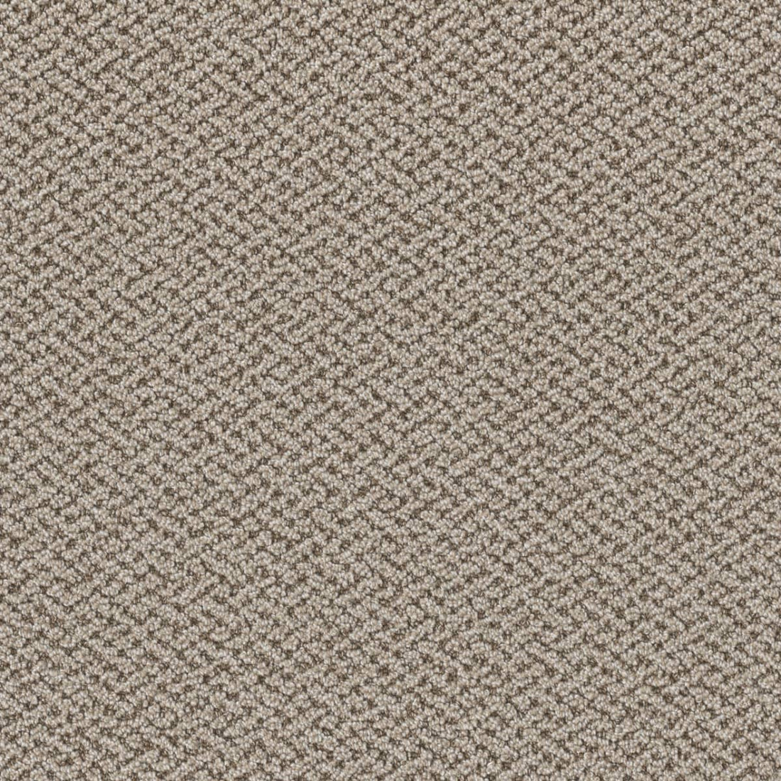 1-1342-2440-1200-a-variant-room-scene