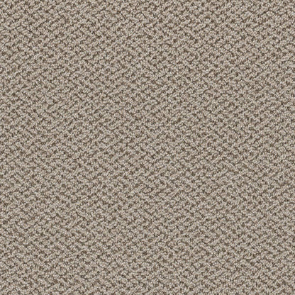 1-1342-2440-1200-a-variant-room-scene