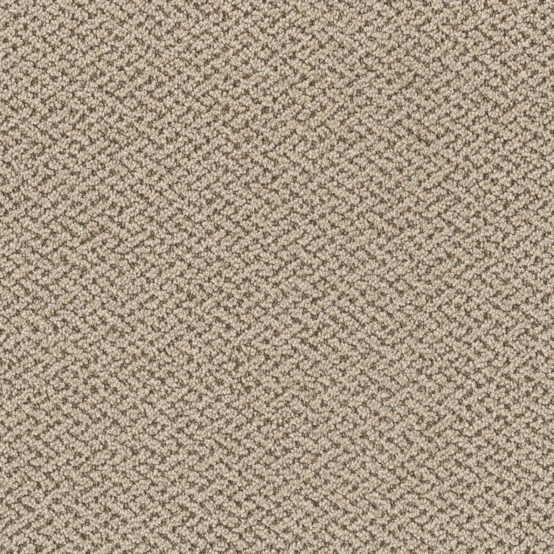 1-1342-2928-1200-a-variant-room-scene