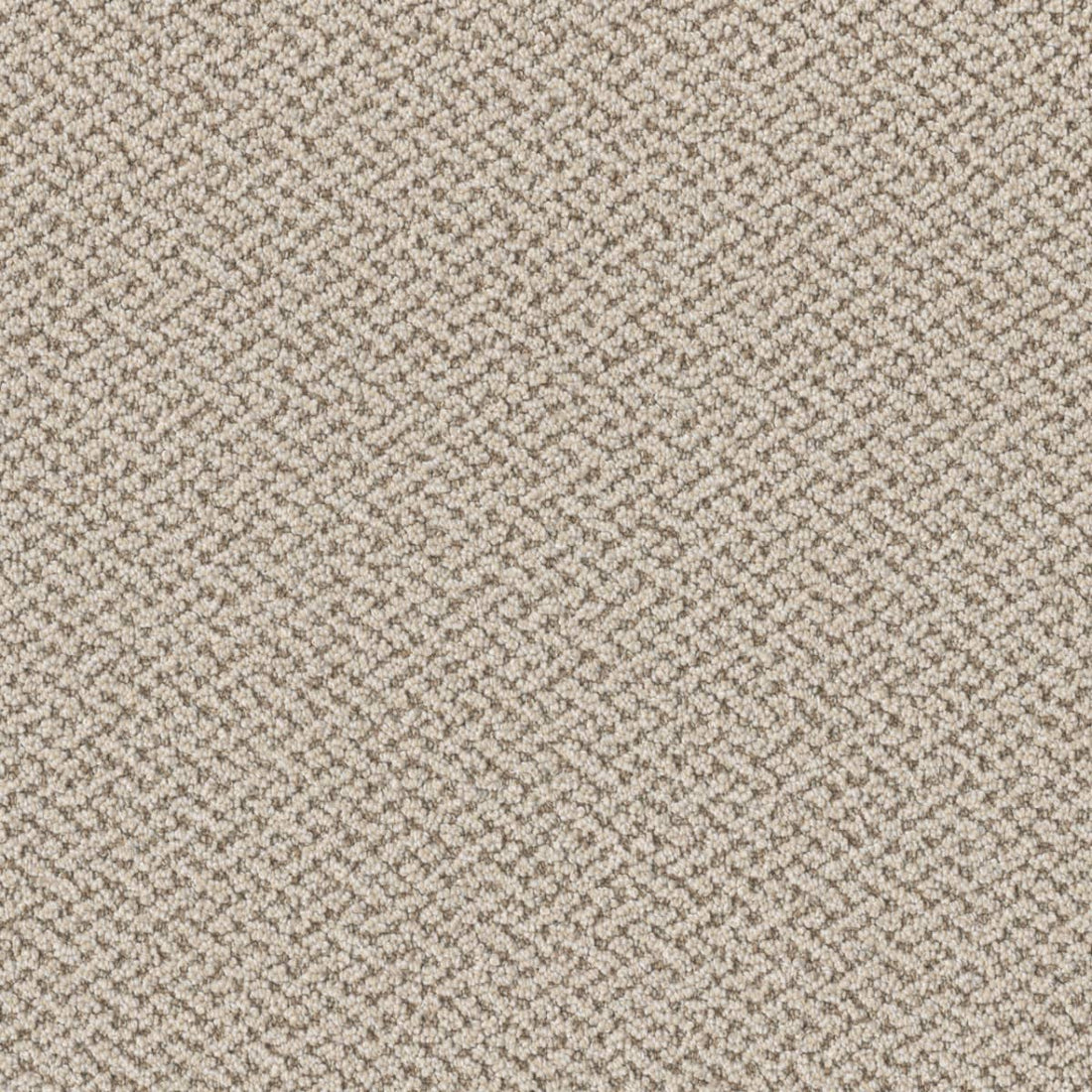 1-1342-4127-1200-a-variant-room-scene