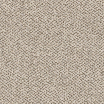 1-1342-4127-1200-a-variant-room-scene