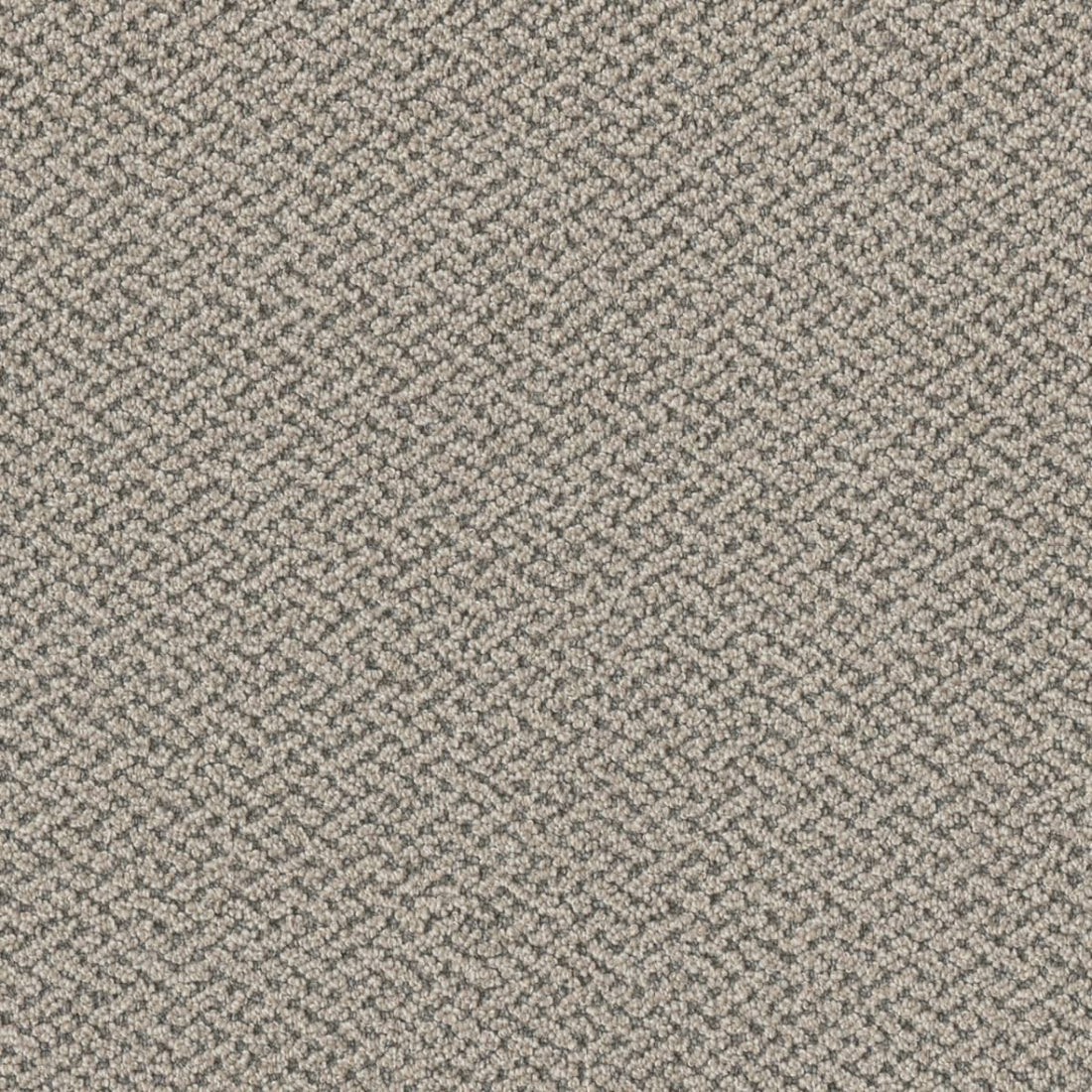 1-1342-4438-1200-a-variant-room-scene