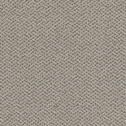1-1342-4438-1200-a-variant-room-scene