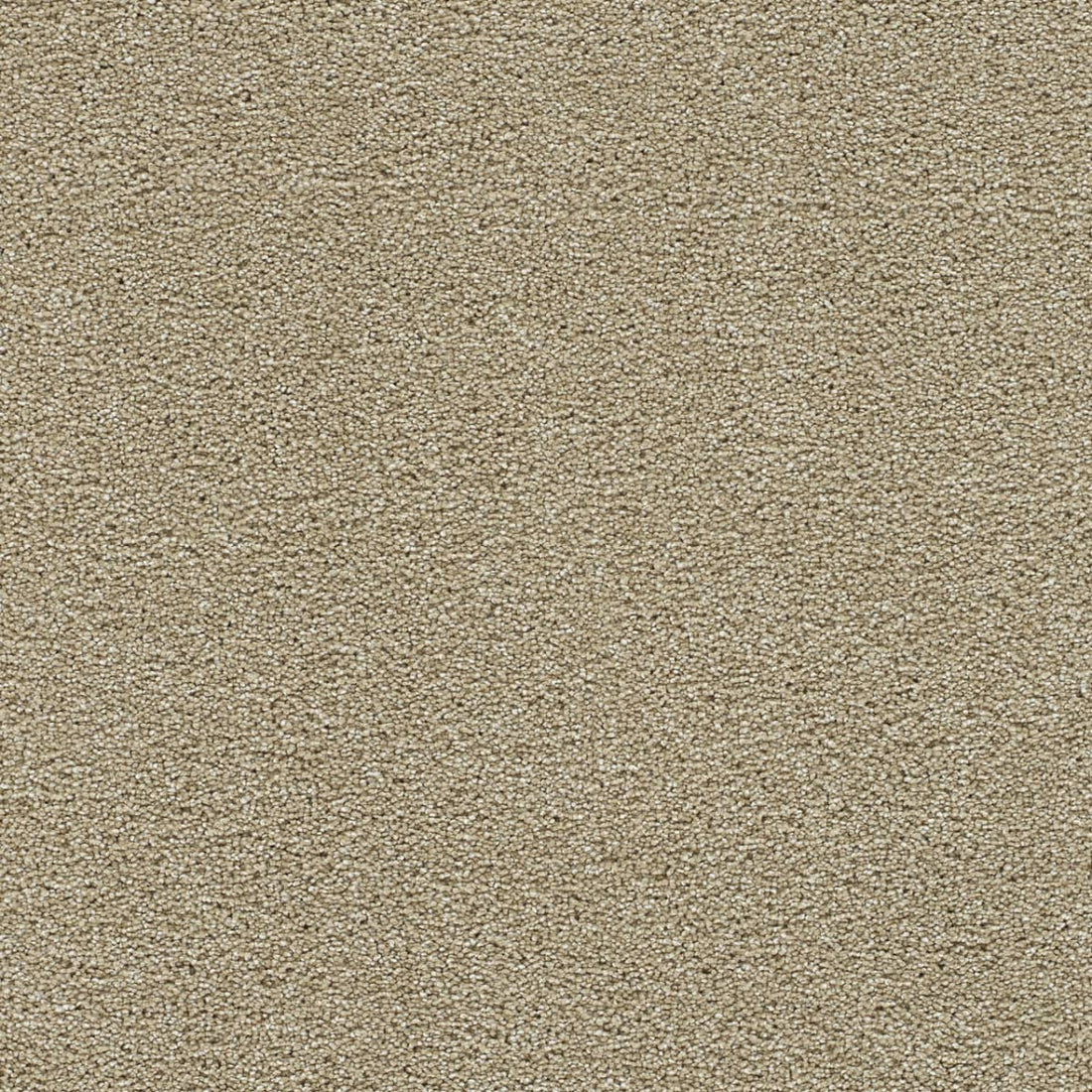 1-1370-2947-1200-a-variant-room-scene