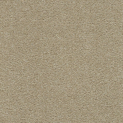 1-1370-2947-1200-a-variant-room-scene
