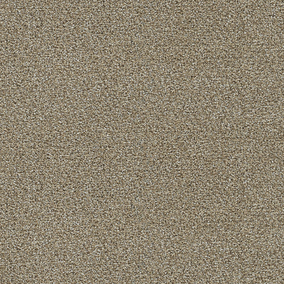 1-1345-774-1200-a-variant-room-scene