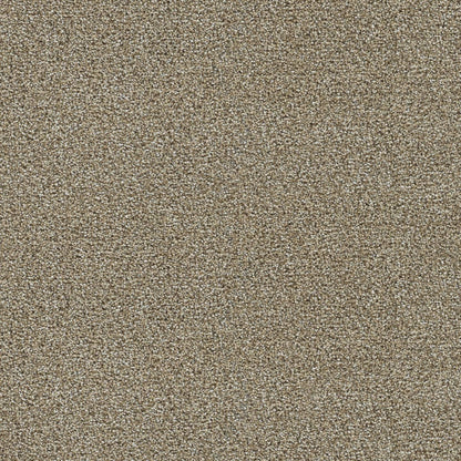 1-1370-774-1200-a-variant-room-scene
