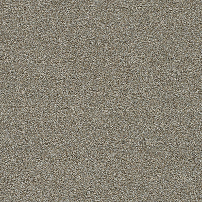 1-1370-785-1200-a-variant-room-scene