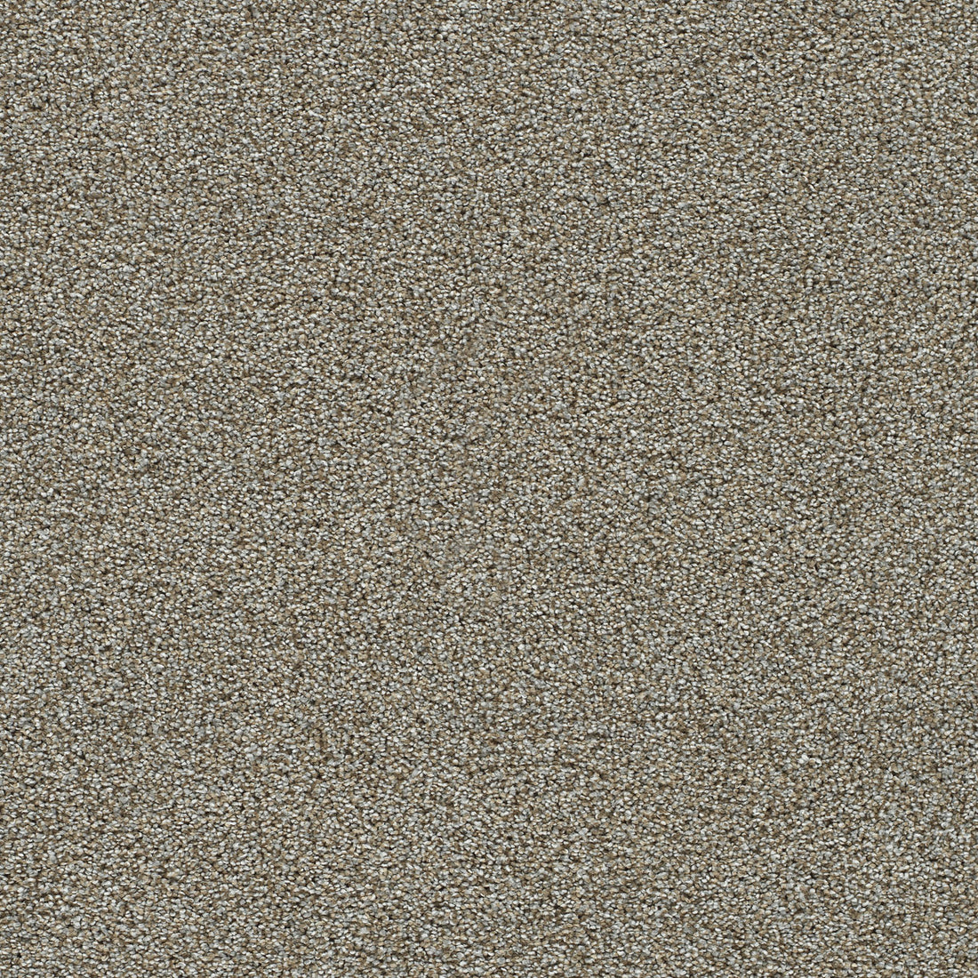 1-1360-785-1200-a-variant-room-scene
