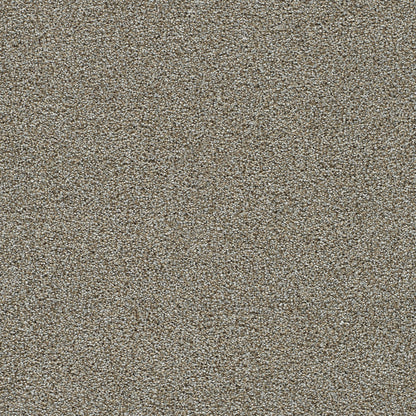 1-1360-785-1200-a-variant-room-scene