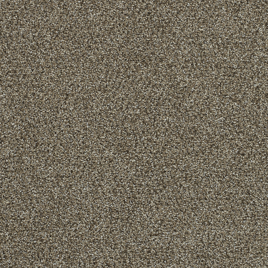 1-1360-834-1200-a-variant-room-scene