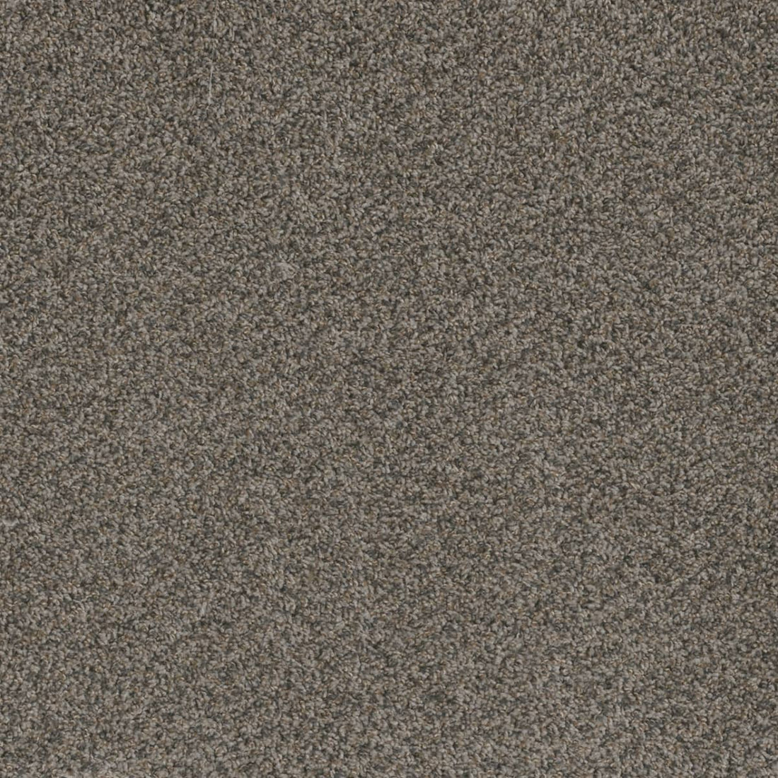 1-1424-255-1200-a-variant-room-scene