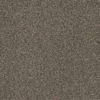 1-1424-303-1200-a-variant-room-scene