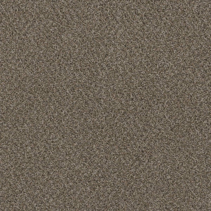 1-1424-339-1200-a-variant-room-scene