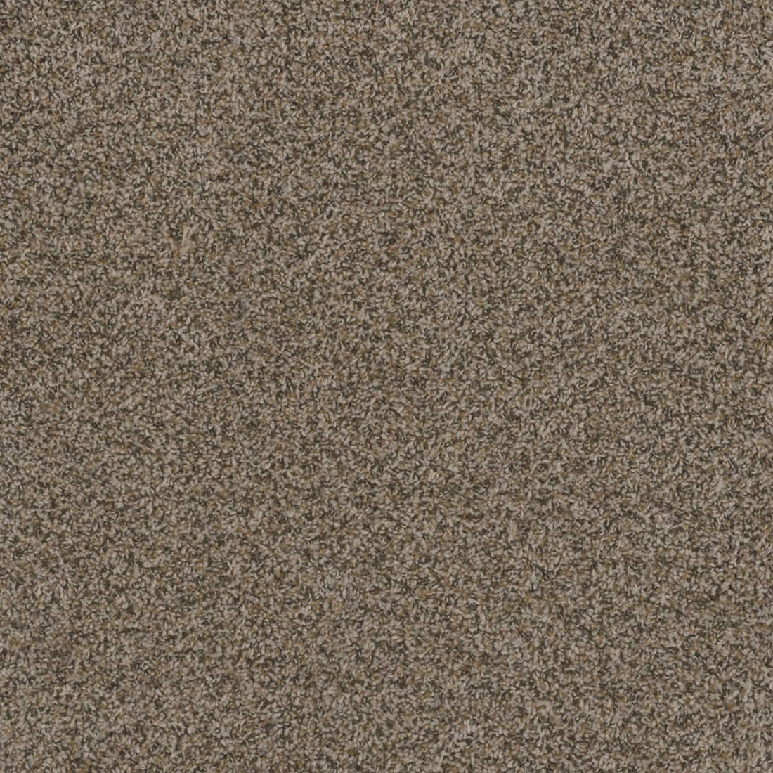 1-1424-390-1200-a-variant-room-scene