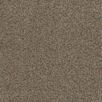 1-1424-390-1200-a-variant-room-scene