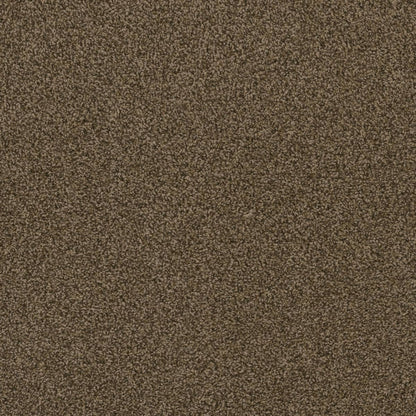 1-1424-512-1200-a-variant-room-scene