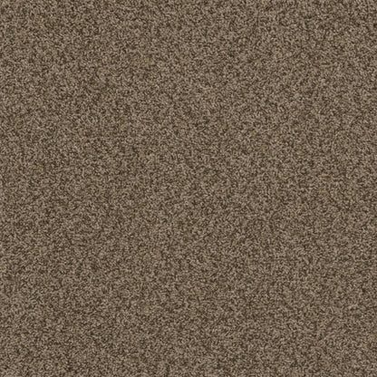 1-1424-532-1200-a-variant-room-scene