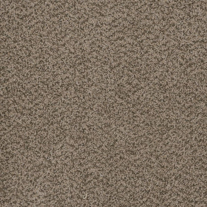 1-1424-537-1200-a-variant-room-scene