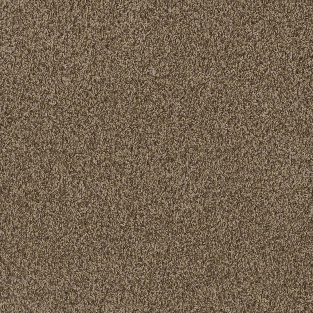 1-1424-711-1200-a-variant-room-scene