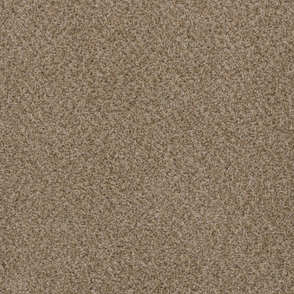 1-1424-753-1200-a-variant-room-scene