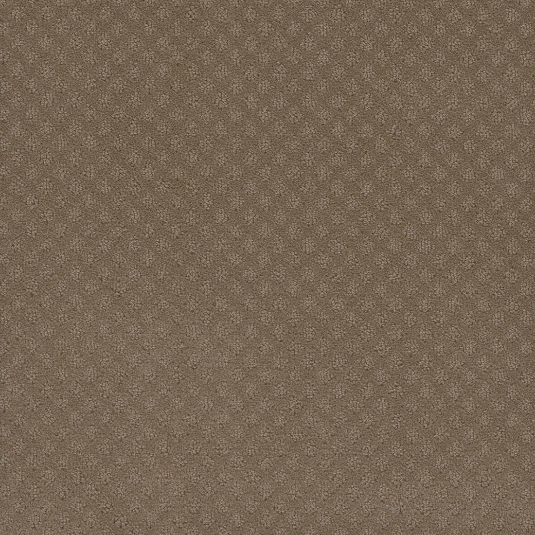 1-1428-6564-1200-a-variant-room-scene