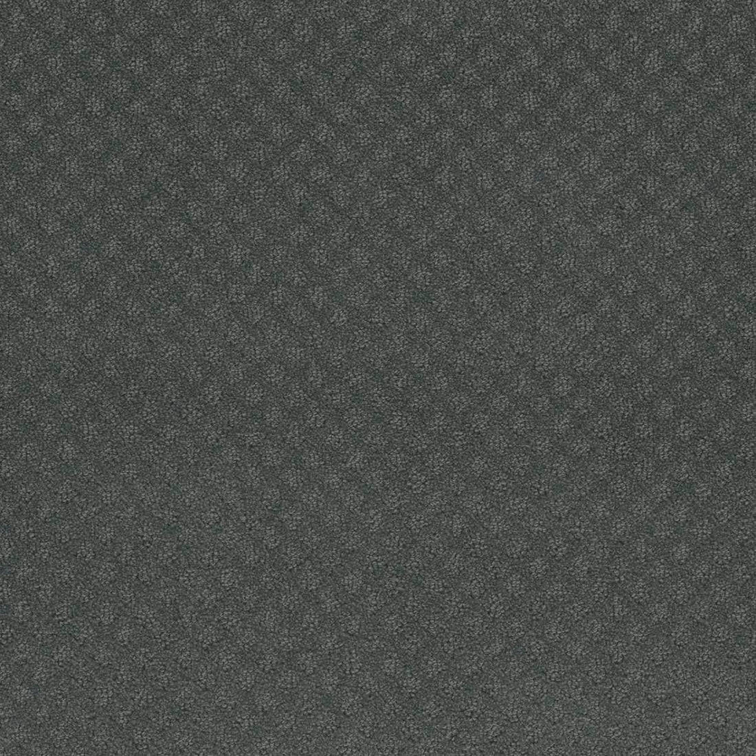 1-1428-890-1200-a-variant-room-scene