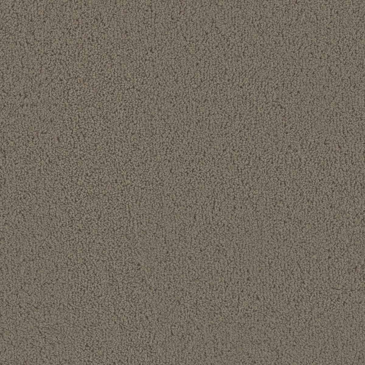 1-1524-550-1200-a-variant-room-scene