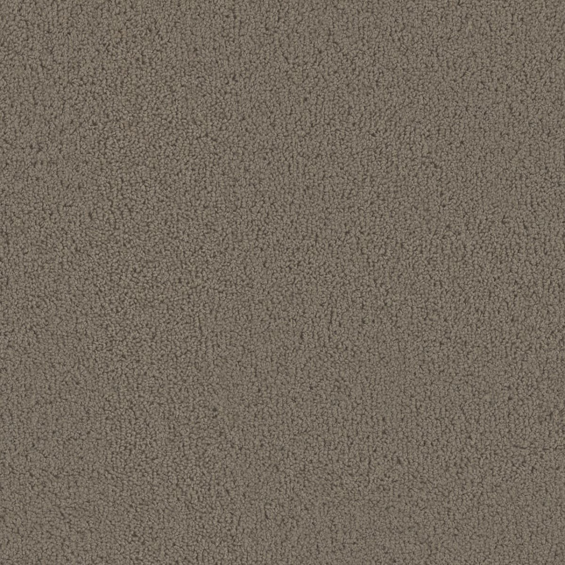 1-1524-550-1200-a-variant-room-scene
