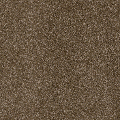 1-2030-540-1200-a-variant-room-scene