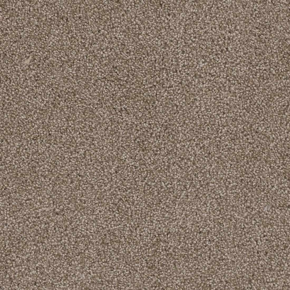 1-2030-720-1200-a-variant-room-scene
