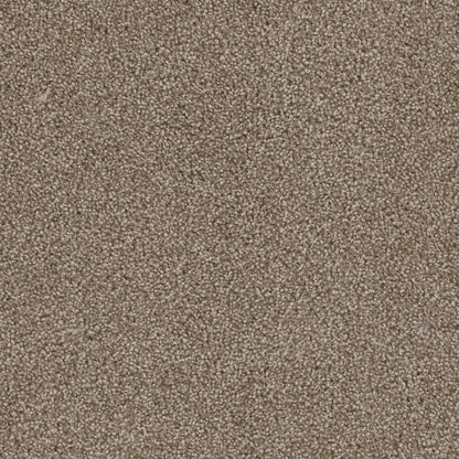 1-2030-720-1200-a-variant-room-scene