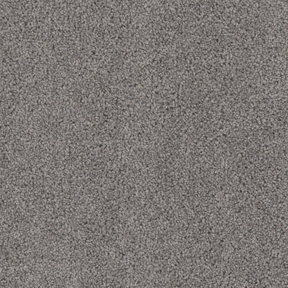 1-2030-956-1200-a-variant-room-scene