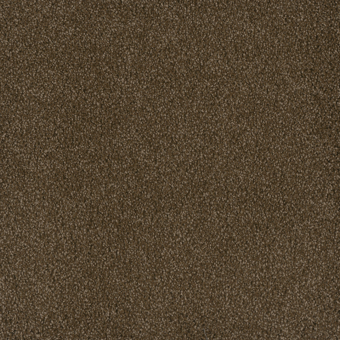 1-2032-540-1200-a-variant-room-scene