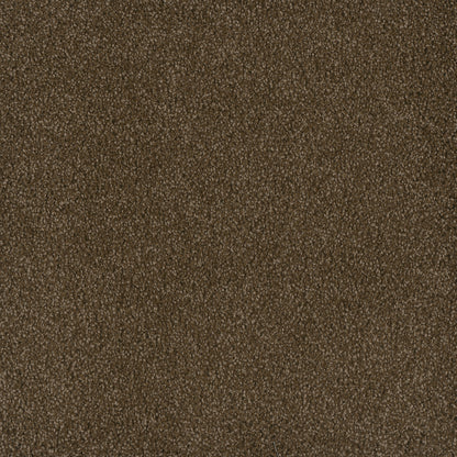 1-2032-540-1200-a-variant-room-scene