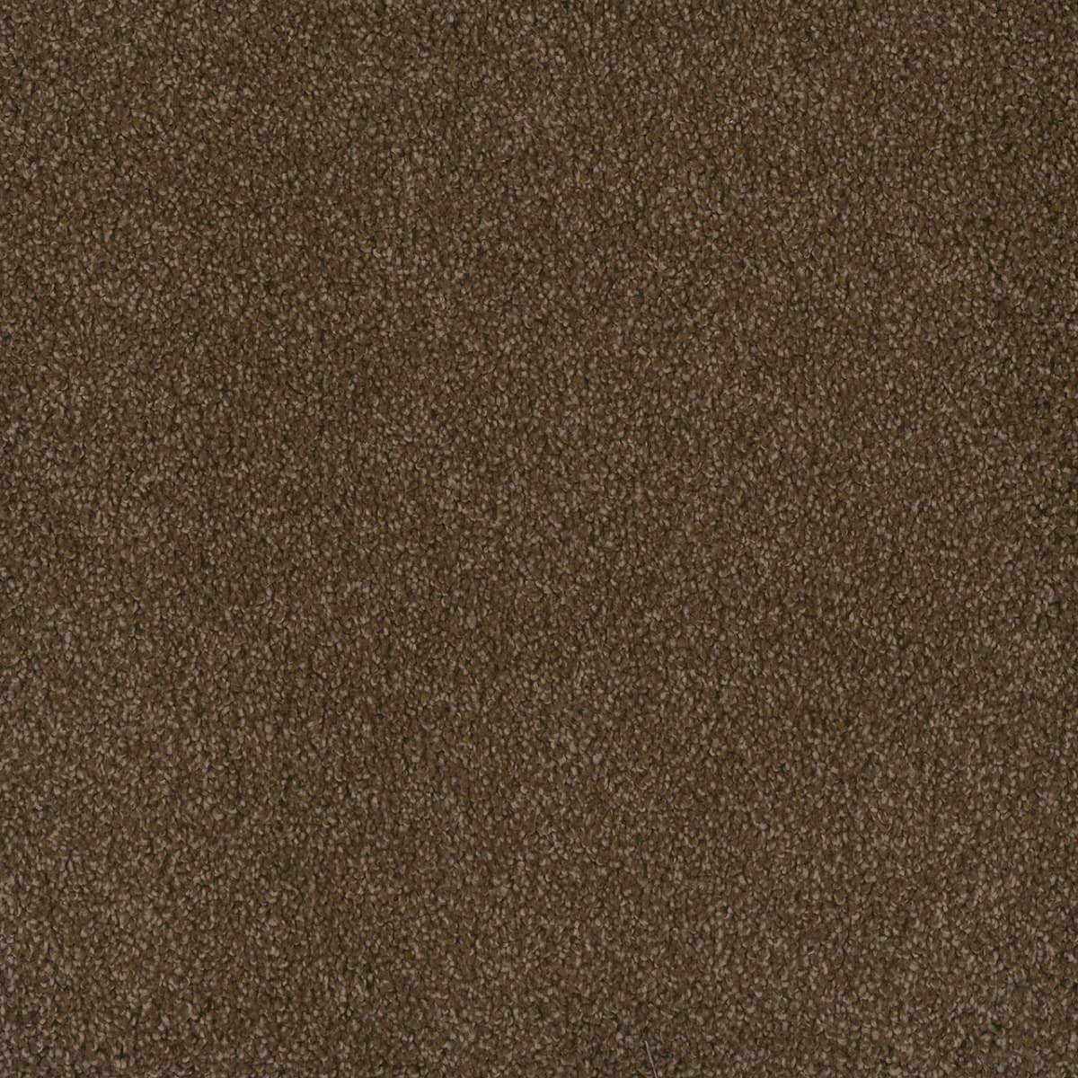 1-2045-540-1200-a-variant-room-scene