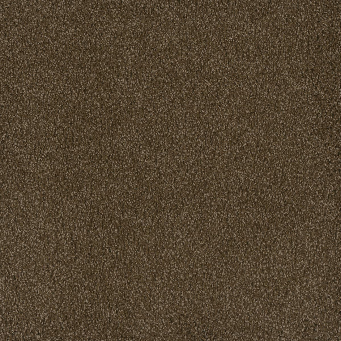1-2045-540-1200-a-variant-room-scene