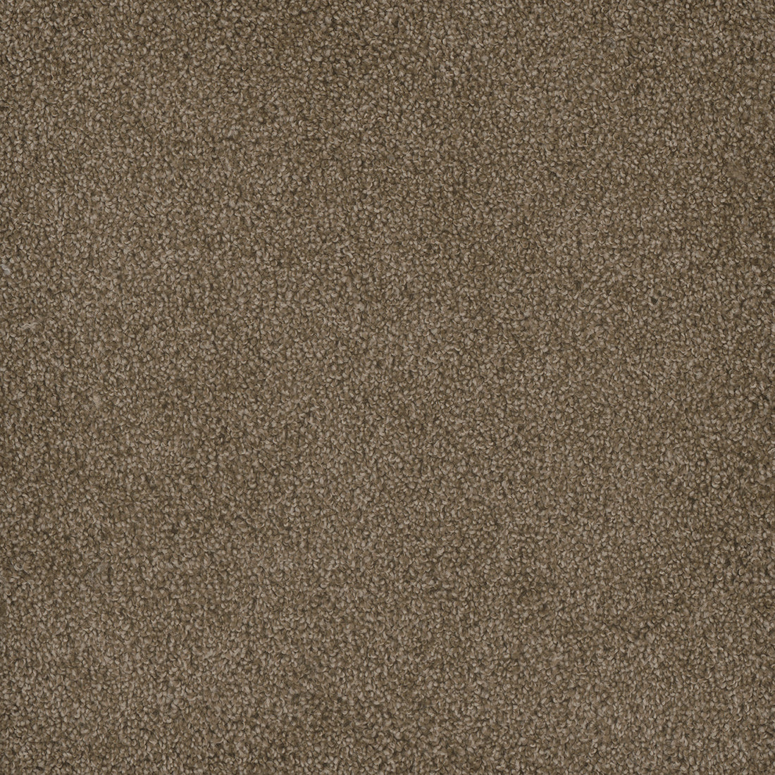 1-2032-725-1200-a-variant-room-scene