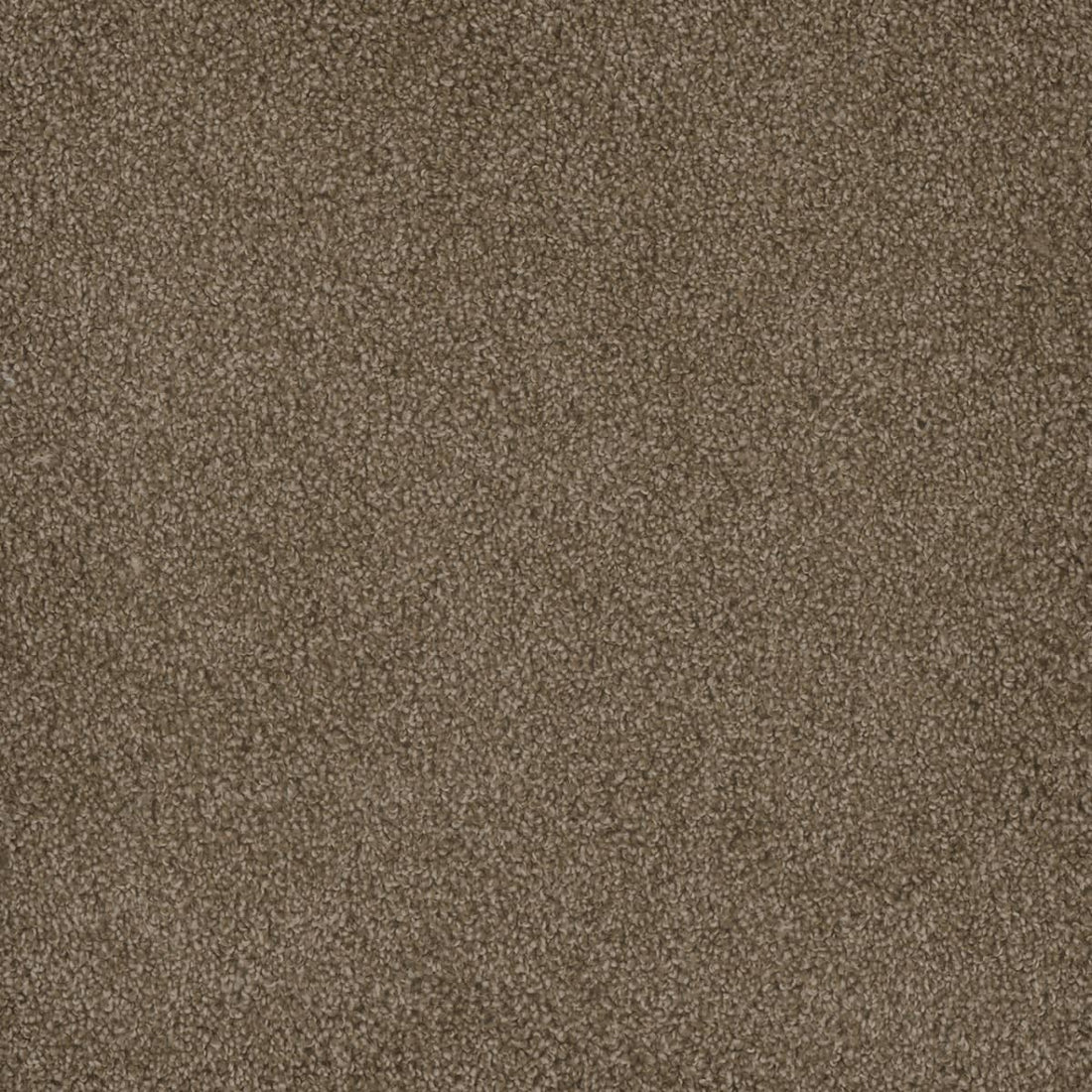 1-2045-725-1200-a-variant-room-scene