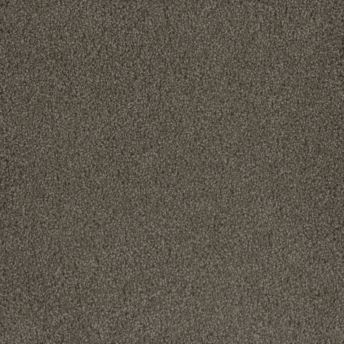 1-2045-955-1200-a-variant-room-scene