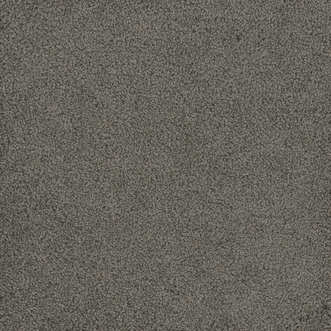 1-2032-956-1200-a-variant-room-scene