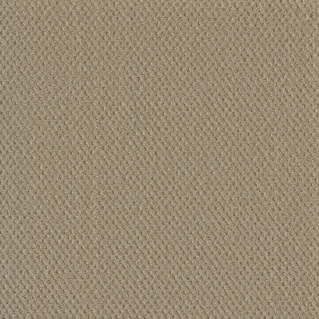 1-2125-6317-1200-a-variant-room-scene