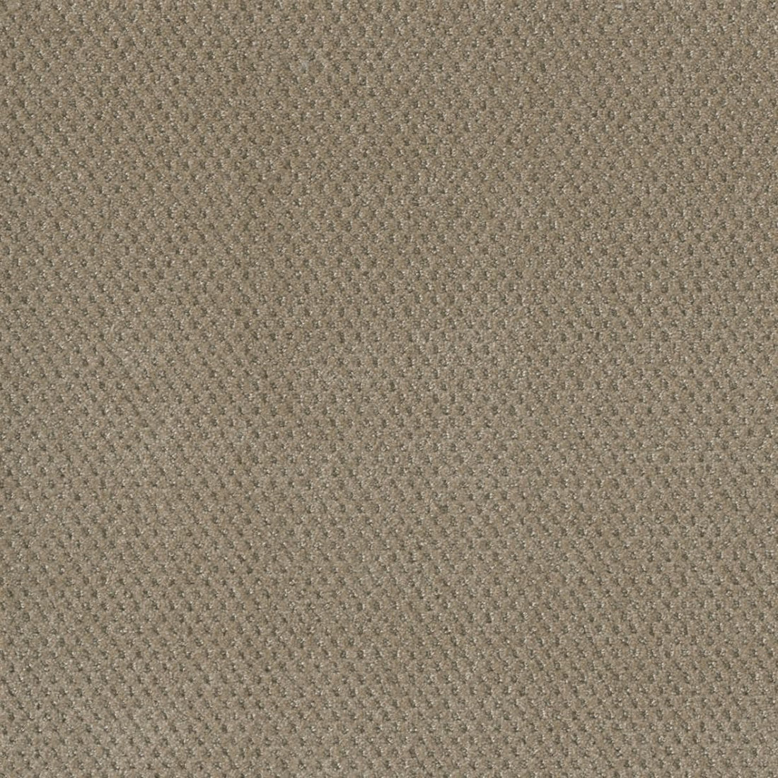 1-2125-6339-1200-a-variant-room-scene