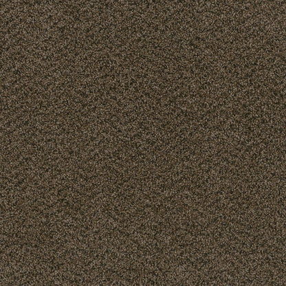 1-2200-383-1200-a-variant-room-scene
