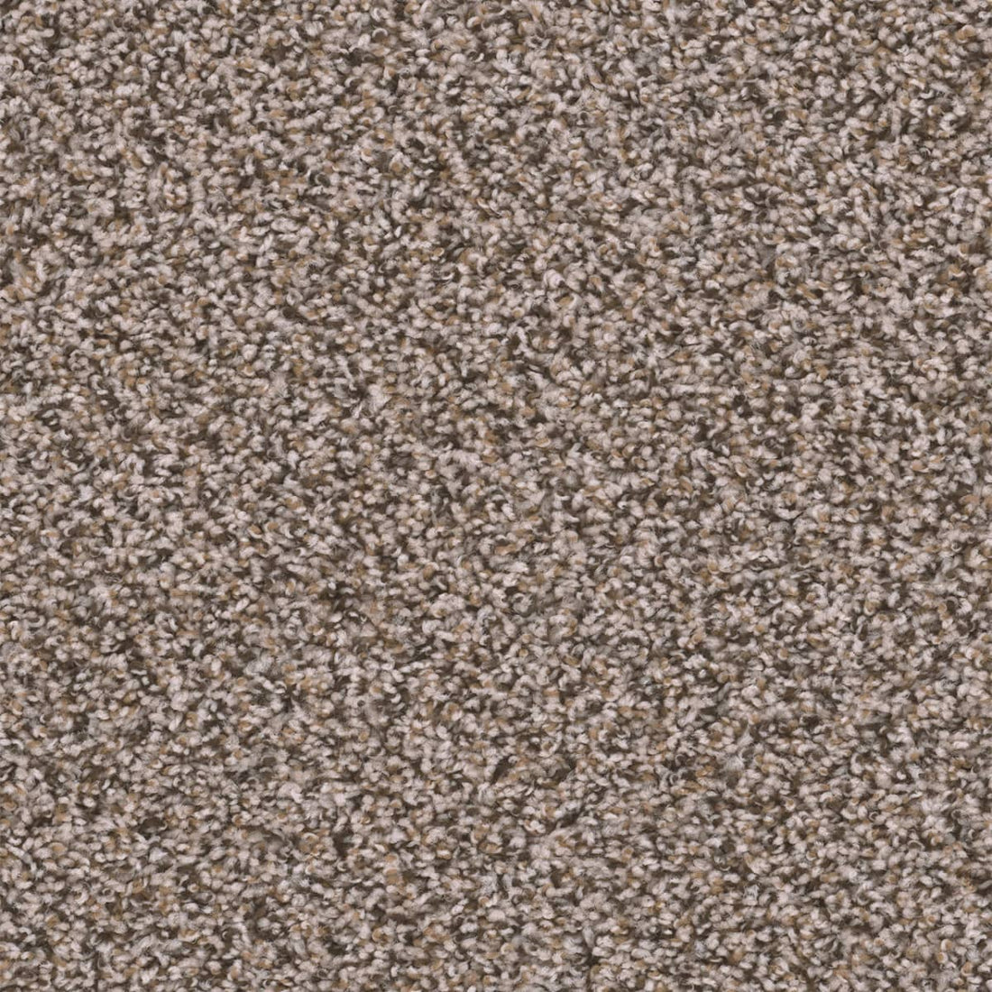 1-2200-390-1200-a-variant-room-scene