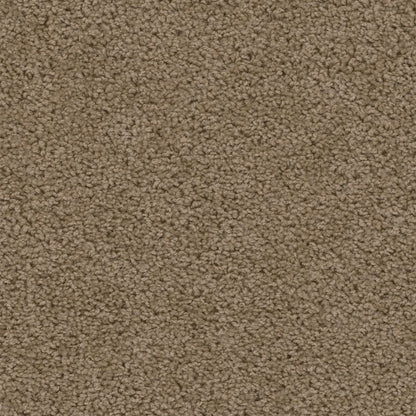 1-2200-510-1200-a-variant-room-scene