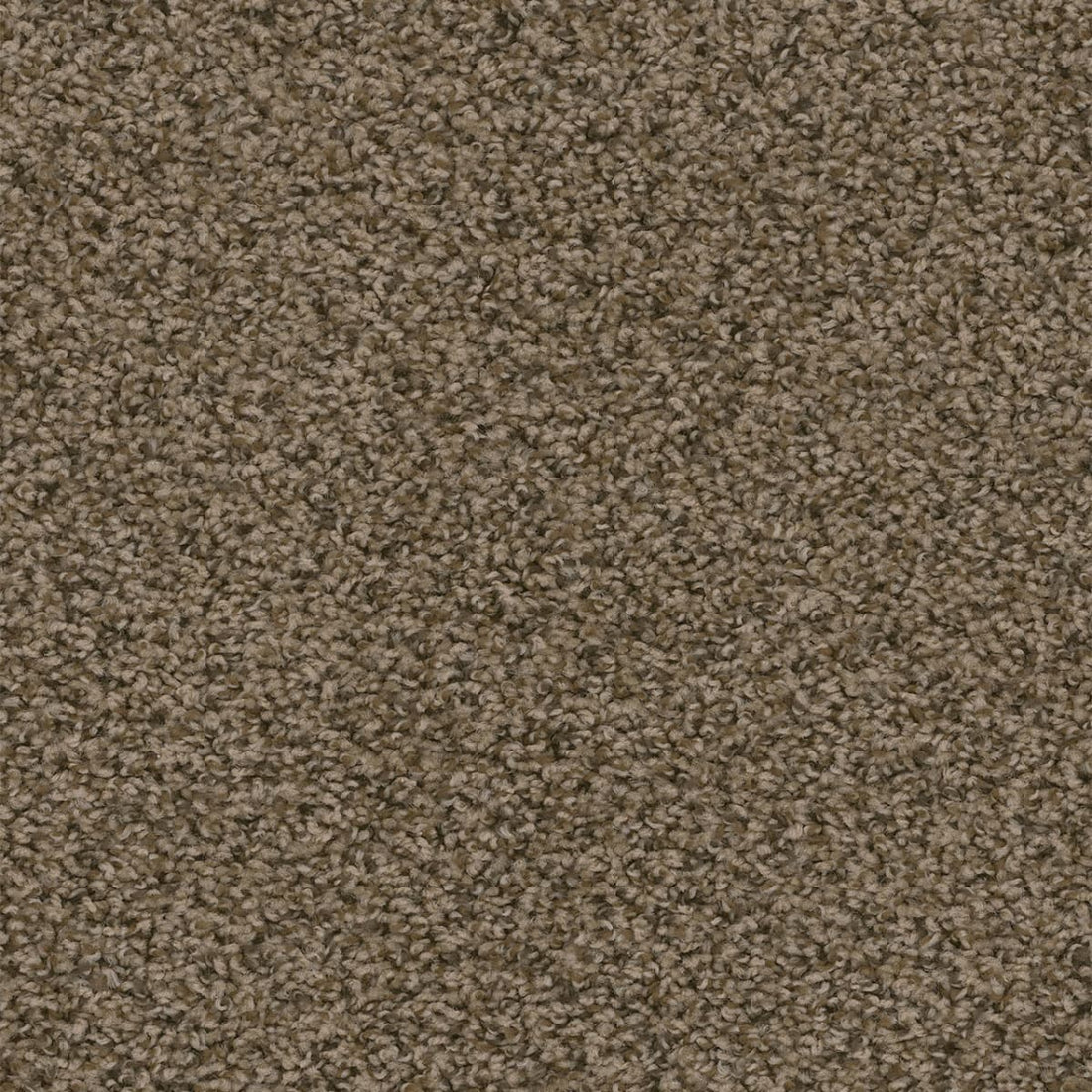 1-2200-512-1200-a-variant-room-scene
